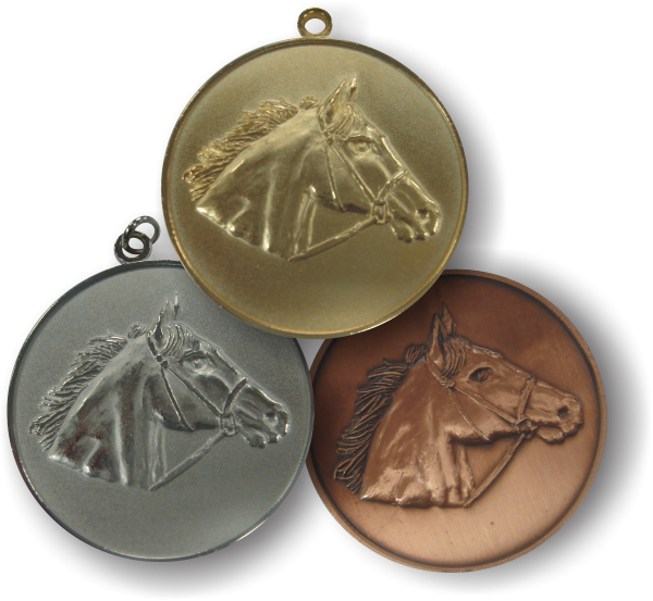 Stock Horse Medallions